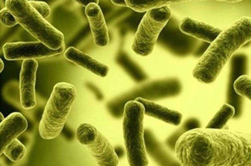  Coliform trong nước thải là gì và cách xử lý hiệu quả